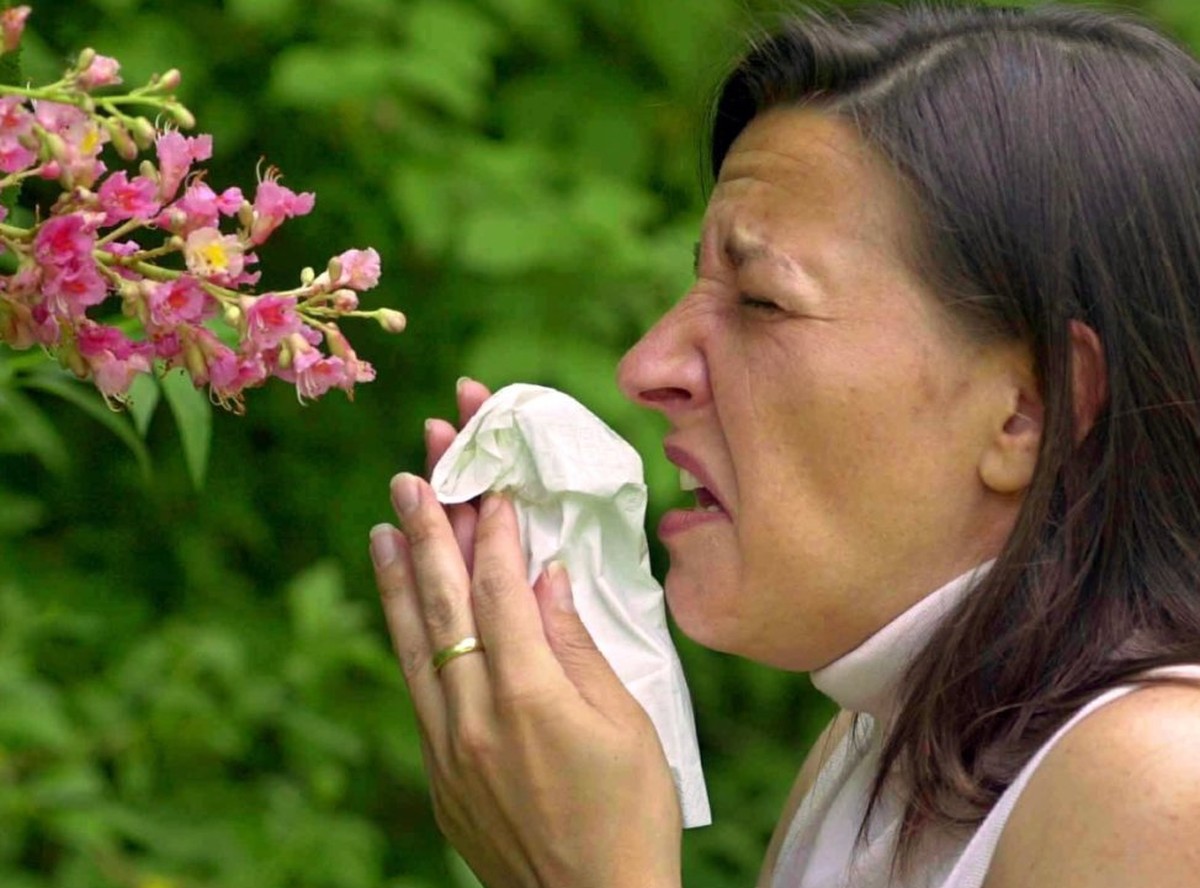 Welche Pollen liegen gerade in der Luft? Eine App verrät das zumindest für die Städte Biel und Luzern. (Symbolbild)
