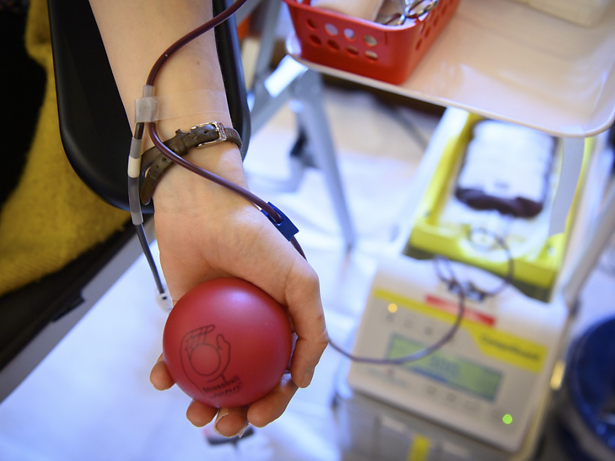 Les H�pitaux universitaires de Gen�ve recherchent de nouveaux donneurs de sang pour l'�t�. Des collectes gourmandes auront lieu les 21 juillet ainsi que les 4 et 25 ao�t (illustration).