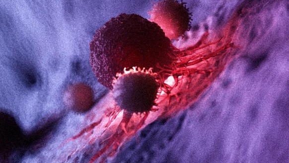 3D-Render weisser Blutkörperchen, zu welchen die T-Zellen gehören. 