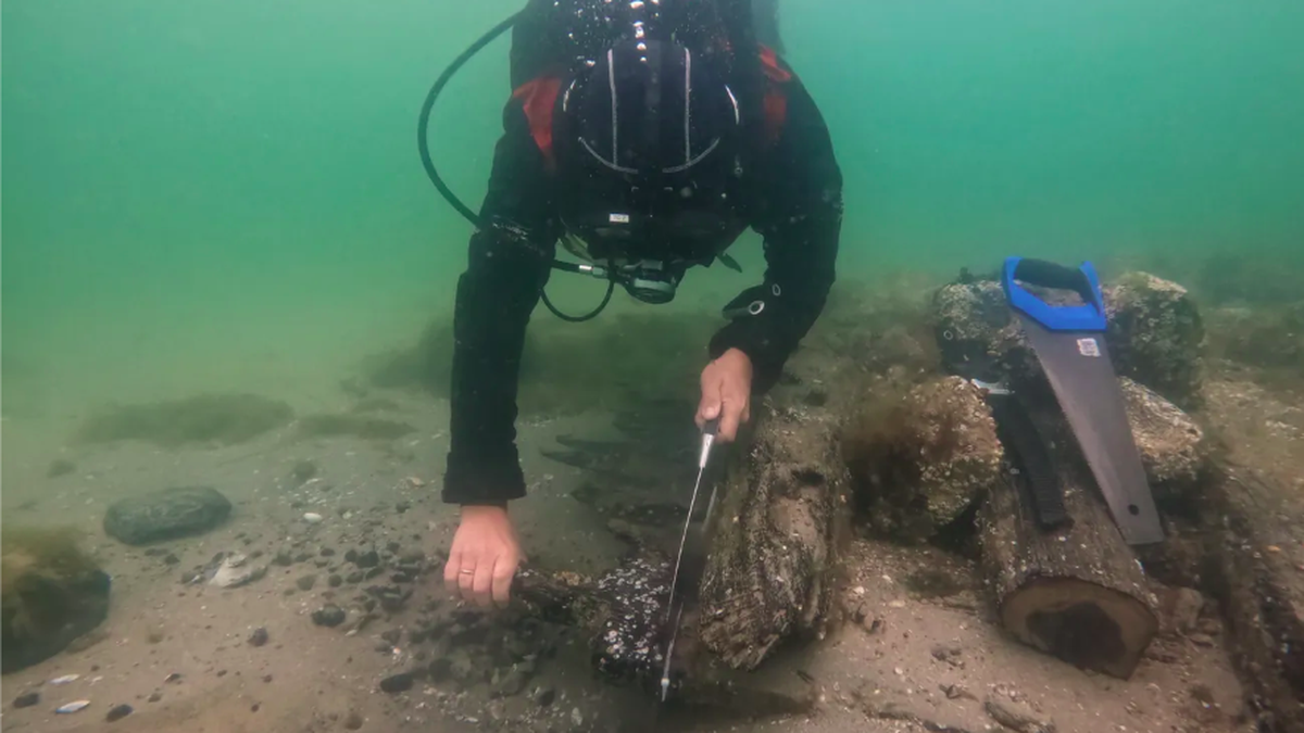 Taucher-entdecken-300-Jahre-alte-Kriegsschiffe-vor-R-gen-in-der-Ostsee