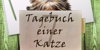 «Liebes Tagebuch, glaubst du an Liebe auf den ersten Blick?»