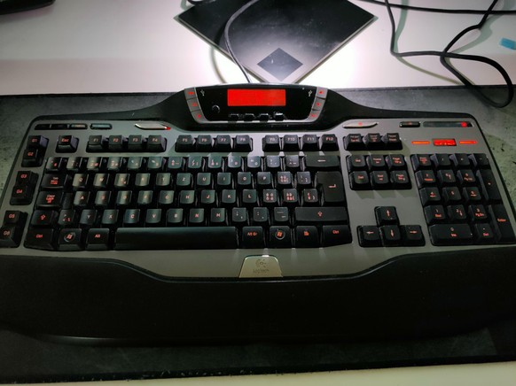 Logitech-Chef Darrell: «Das spontane Lästern über den Chef fehlt ein bisschen»\nIch hab noch heute meine G15 Logitech Tastatur. Über 10 Jahre alt und noch keine Ermüdungserscheinungen.