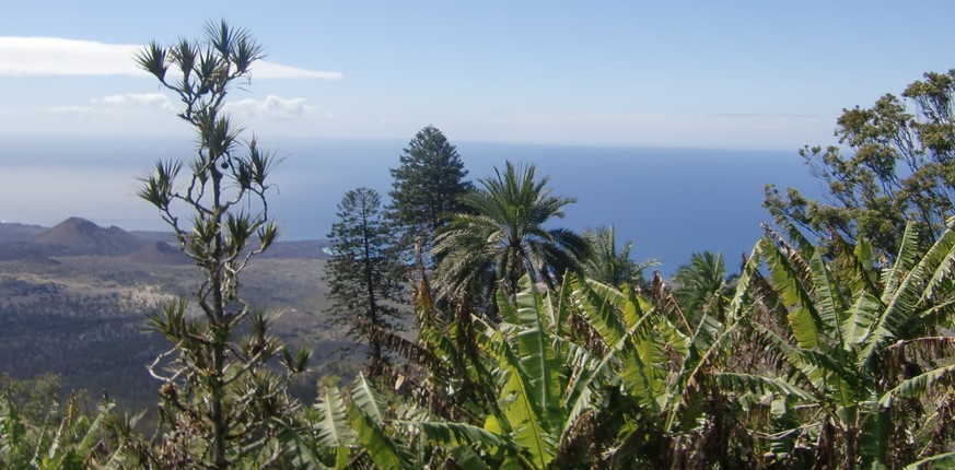 Ascension Island: Eine Reportage vom Ende der Welt, dem letzten kleinen Rest von Atlantis