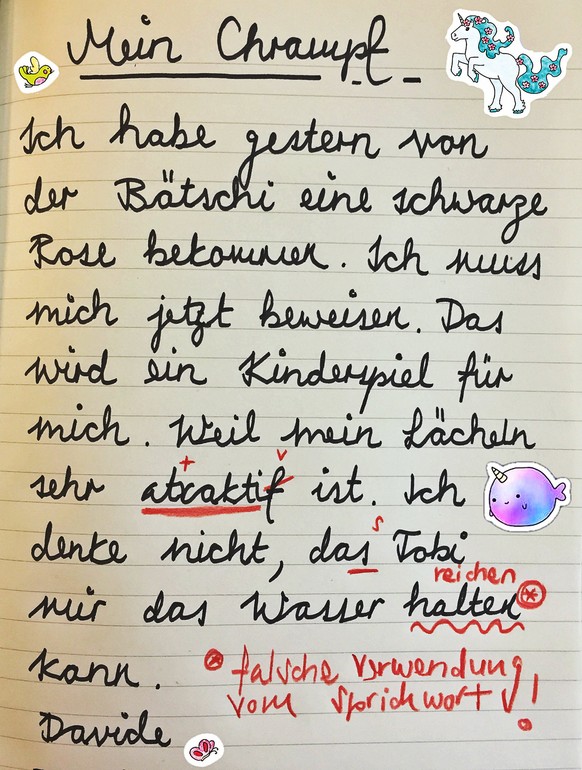 Auf verschlungenen Wegen hat uns Davides Tagebuch erreicht. Wir haben uns die Freiheit genommen, es zu korrigieren. Es darf zu Schulungszwecken weiterverwendet werden.