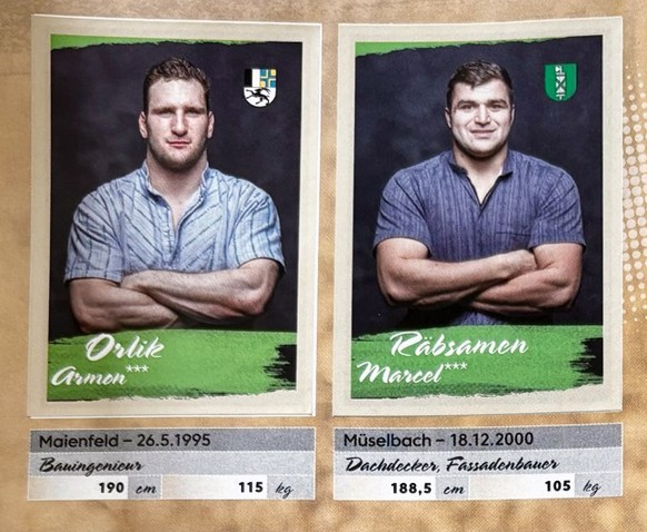 7 Punkte, die beim Schwinger-Panini-Album auffallen