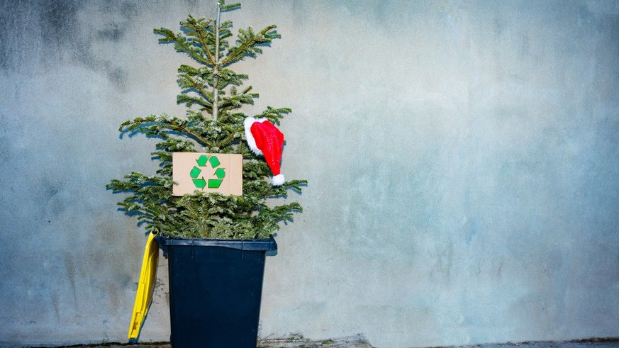 Der schöne Weihnachtsbaum in der Tonne – das muss nicht sein.