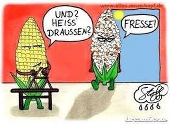 Bild