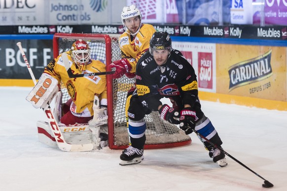 Le gardien de Langnau Ivars Punnenovs, gauche, le defenseur de Langnau Anthony Huguenin, centre luttent pour le puck avec le defenseur fribourgeois Sebastian Schilt, droite, lors de la rencontre du ch ...