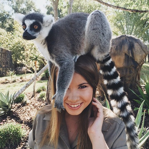 Ob Lemur auf dem Kopf oder ...&nbsp;