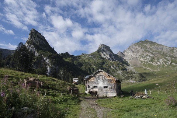 Die Landschaft auf dem Zingel ob Gitschenen im Isenthal im Kanton Uri am Donnerstag, 8. September 2016. Wildheuer wie Aschwanden bewirtschaften die steilsten Wiesen hoch ueber dem Urnersee und tragen  ...