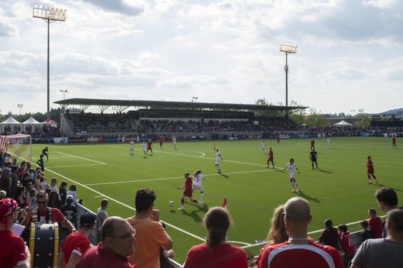 Swiss fans during an international friendly test match between the national soccer teams of Switzerland and Germany, at the Esp stadium, in Baden, Switzerland, Wednesday, May 27, 2015. The Swiss natio ...