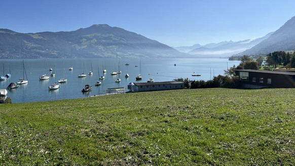 Velotour rund um die Rigi: Der Zugersee bei Immensee mit Blick auf Arth-Goldau