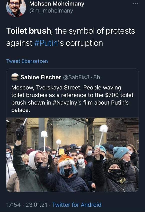 Zehntausende Russen fordern Nawalnys Freiheit – Ehefrau Julia unter den Verhafteten\nNavalny Ehefrau ist inzwischen wieder frei gelassen worden. 

Übrigens ist das „Symbol“ dieser Proteste eine Toilet ...