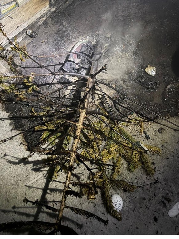 Brand Weihnachtsbaum Niederlenz 27.12.25
