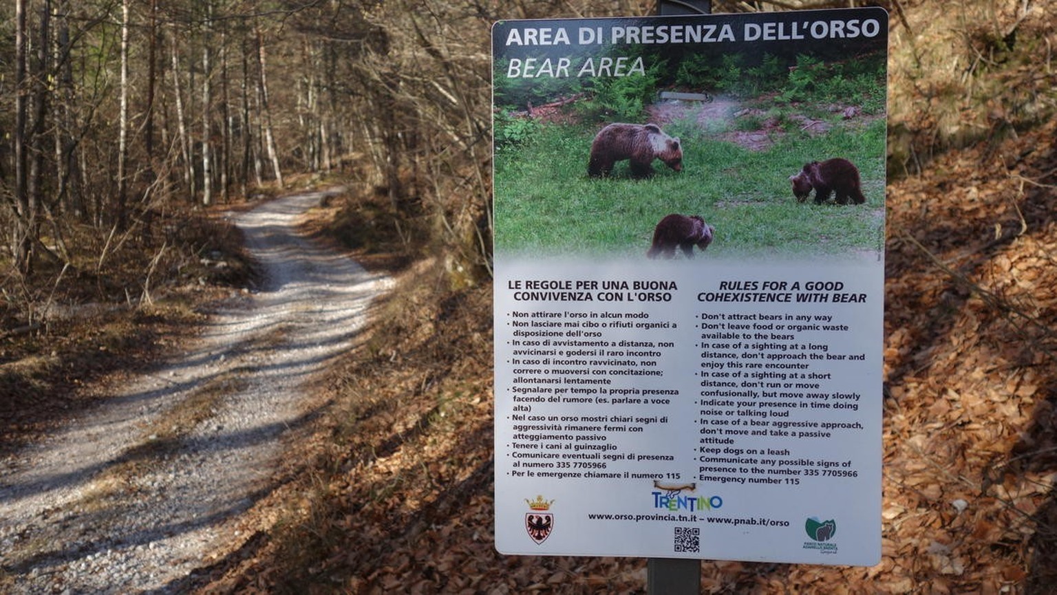 Schilder am Wegrand an den Waldrändern machen im Trentino auf Bären aufmerksam und geben Hinweise zum richtigen Verhalten. Joggen und Rennen sollte man in der Nähe von Bären tunlichst vermeiden.