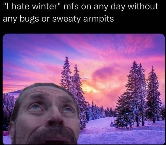Winter Memes