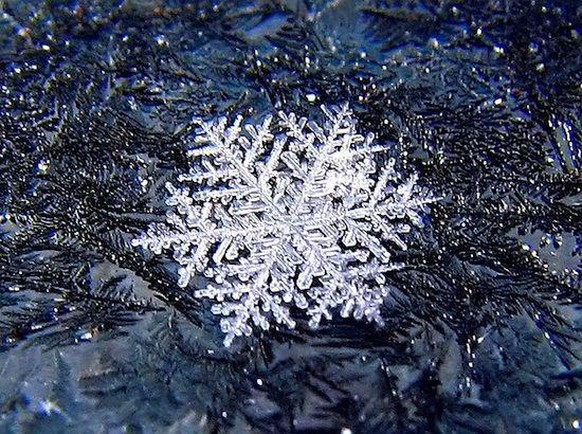 So faszinierend ist Schnee, wenn du genau hinsiehst ❄😍  \nUnd dann zeigt ihr nichtmal die kleinste Schneeflocke der Welt? Unter einem Elektronenmikroskop aufgenommen, bestehend aus 275 Wassermolekülen.
