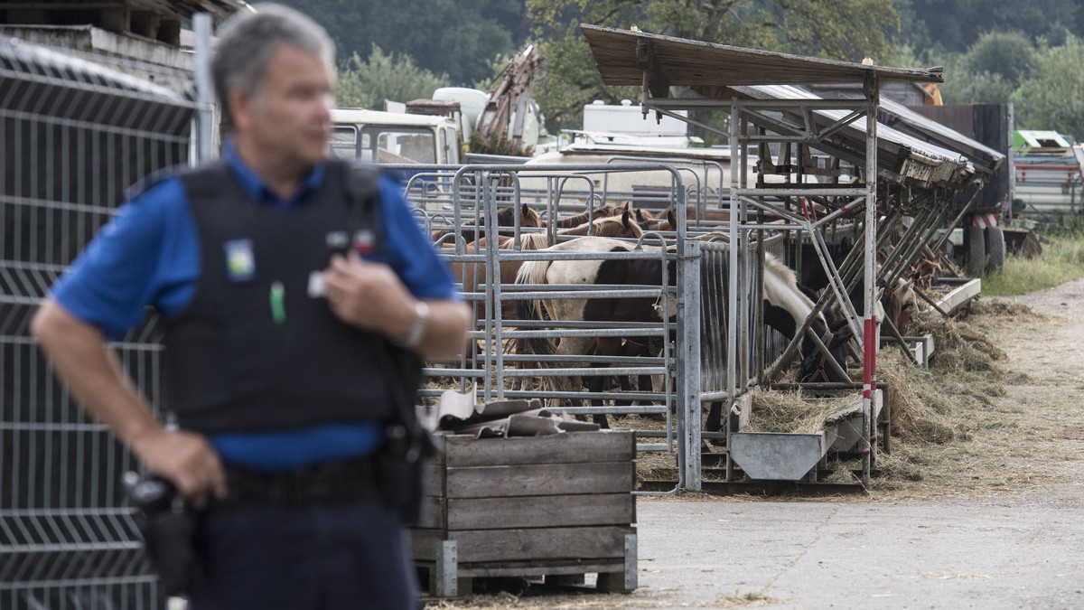 ARCHIVBILD ZUR MEDIENKONFERENZ DER UNTERSUCHUNGSKOMMISSION IM FALL HEFENHOFEN, AM DONNERSTAG, 4. JANUAR 2018 - Die Polizei sichert die ersten Tiere vom Hof von Ulrich K., der wegen der Quaelerei von P ...
