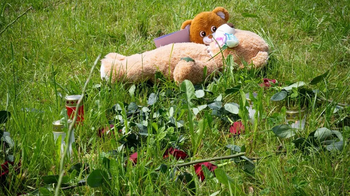 berikon tötung bär