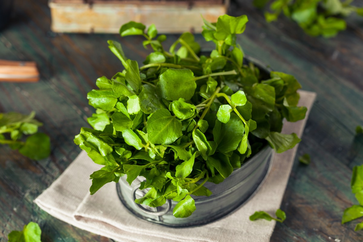 Würzig, scharf, lecker: frische Brunnenkresse.