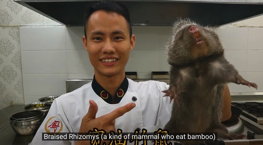 chef wang gang china chinesische küche kantonesisches essen food kochen youtube frosch ratte stierkopf salamander https://www.youtube.com/channel/UCg0m_Ah8P_MQbnn77-vYnYw