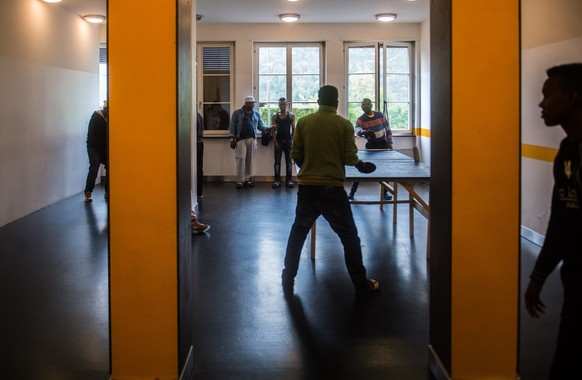 Asylbewerber spielen Ping Pong in einem Zimmer des Bundesasylzentrums in Losone, am Samstag, 23. April 2016. Das Staatssekretariat fuer Migration laedt die Bevoelkerung zu einem Tag der offenen Tuere  ...