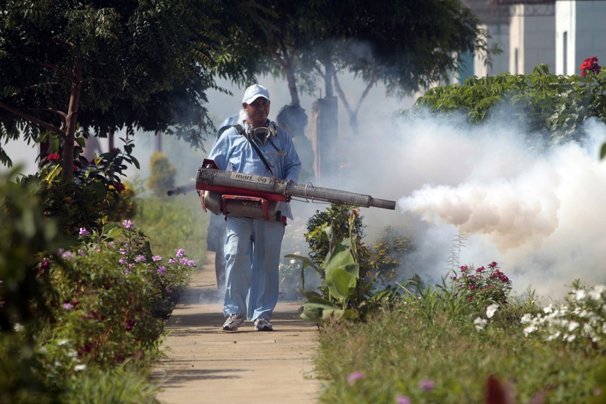 Sprühaktion gegen Moskitos: In Managua, der Hauptstadt von Nicaragua gehen die Behörden resolut gegen das&nbsp;Chikungunya-Fieber vor.