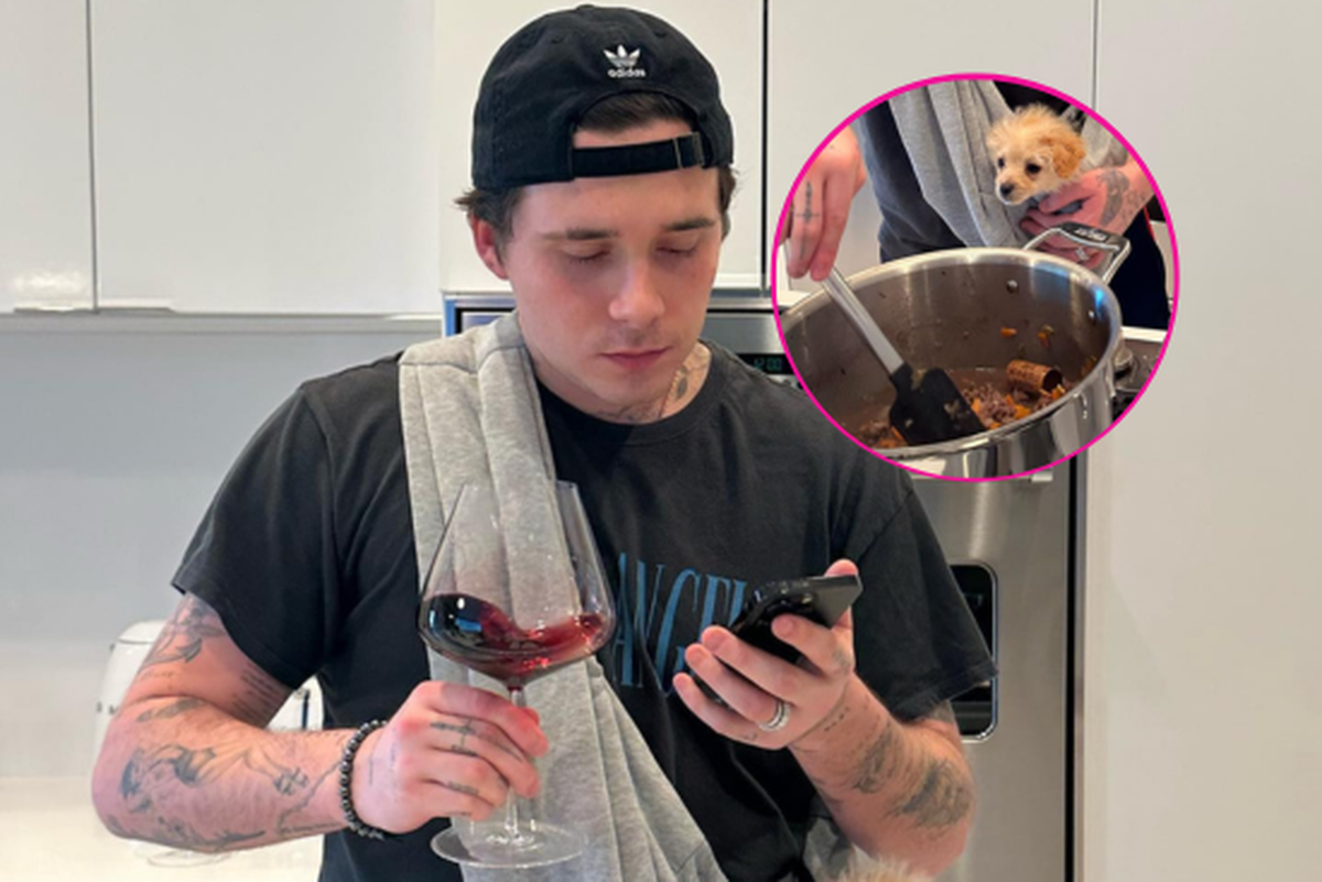 Le chien de Brooklyn Beckham au-dessus des fourneaux n'est même pas le souci principal ici.