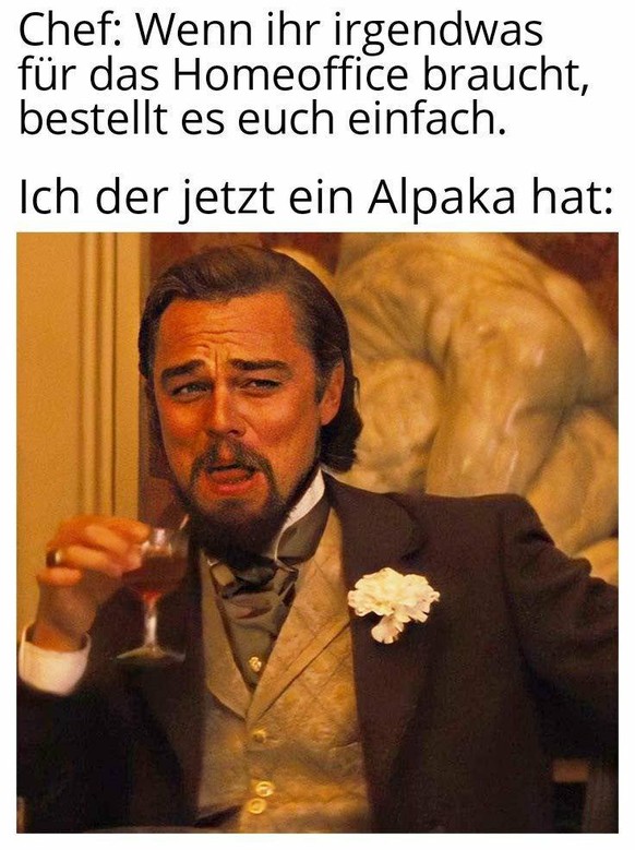 Zurück in die Zukunft: PICDUMP!\nUnd der Chef so:
