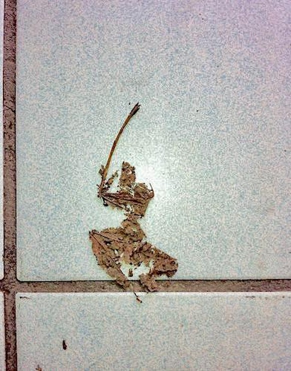 PICDUMP 391 – feat. «Hide The Pain»-Maurice\nDieser Samurai ist es würdig, picdumpiert zu werden.