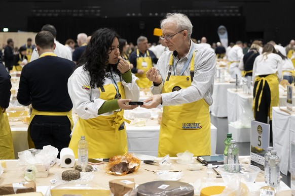 Members of the jury analyze and taste cheeses from different countries, during the 37th World Cheese Awards, at the Festhalle in Bern, Switzerland, November 13, 2025. More than 5,244 cheeses from 46 c ...
