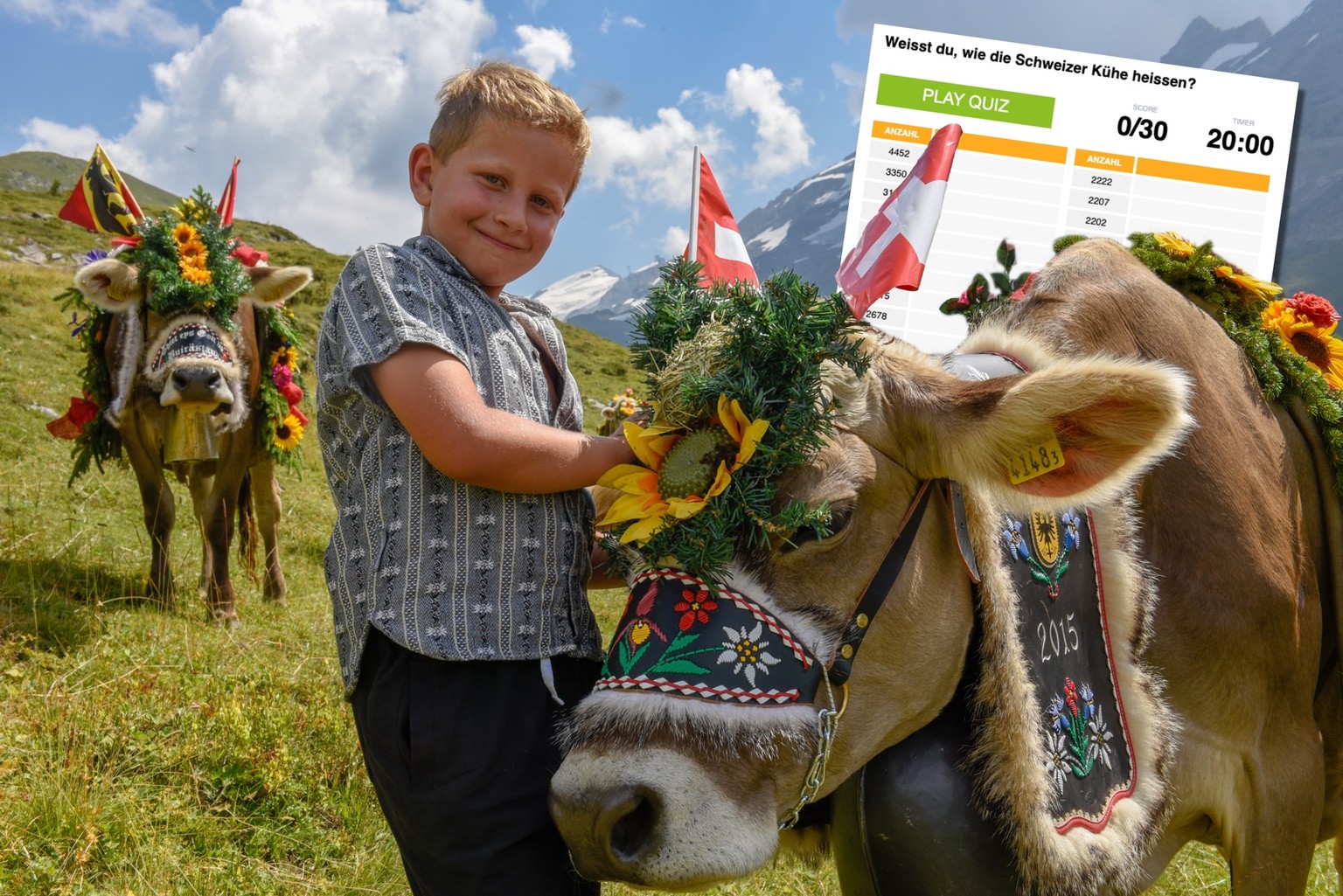Engstlenalp, Switzerland - 4 August 2018: cow decorated with flowers and flags on the annual transhumance at Engstlenalp on the Swiss alps