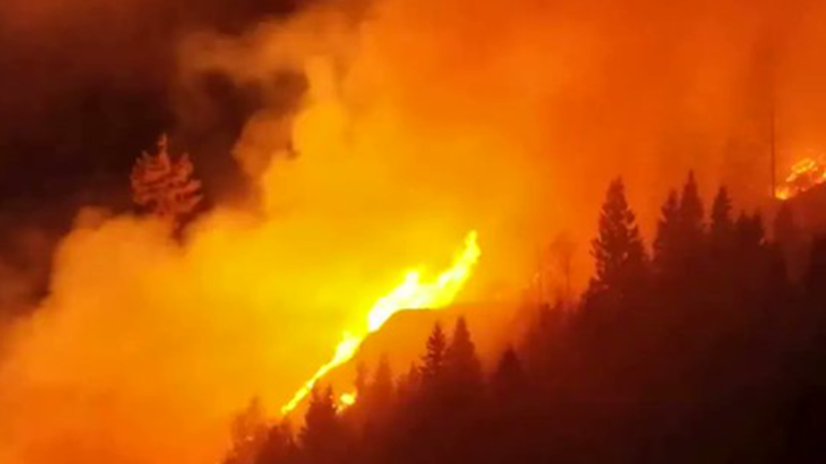 Waldbrand in Kärnten ausser Kontrolle – Einsatz über mehrere Tage