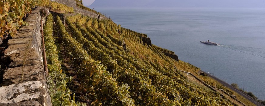 The Lavaux region&#039;s vineyards on the northern shore of Lake Geneva near Epesses in the canton of Vaud, Switzerland, pictured on October 15, 2009. The Lavaux Vineyard Terraces have been included i ...