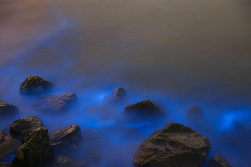 Blue Tears in Taiwan