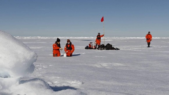 Wissenschaftlerinnen des Alfred-Wegener-Instituts nehmen Schneeproben auf Eisschollen. Selbst in der Arktis enthält der Schnee Mikroplastik.