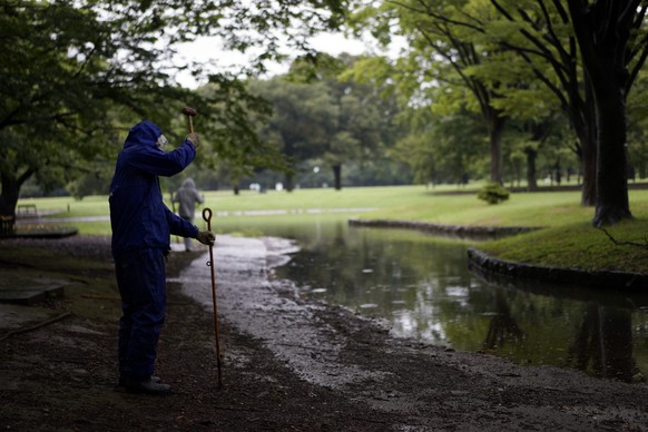 Der erste Ausbruch des Dengue-Fieber in Japan war vor über 70 Jahren im Yoyogi-Park.