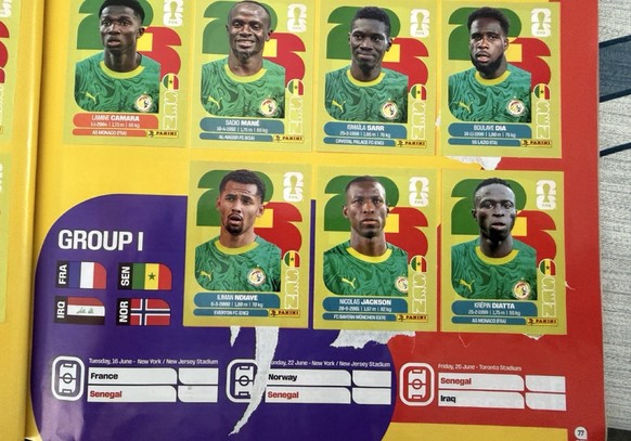 Panini WM 2026
