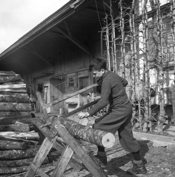 ARCHIV - ZUR WINTERSESSION 2019 MIT DEM THEMA VERDINGKINDER, STELLEN WIR IHNEN FOLGENDES BILDMATERIAL ZUR VERFUEGUNG - Aufnahme eines Verdingkindes waehrend der Arbeit, aufgenommen im Jahr 1945. (KEYS ...