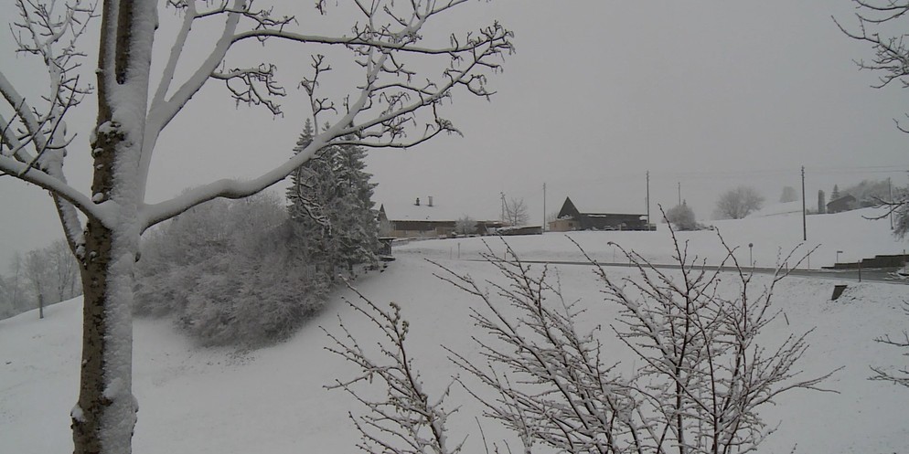 Am 1. April hat sich der Winter noch einmal mit Schnee bis ins Flachland zurückgemeldet. Im Zürcher Oberland sorgte Frau Holle für überzuckerte Landschaften, so beispielsweise in Bäretswil.