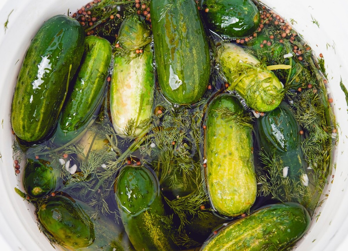Grâce à sa forte concentration en acidité, le cornichon est un excellent dynamisant pour le système digestif, en plus d'etre une excellente source d’antioxydants.