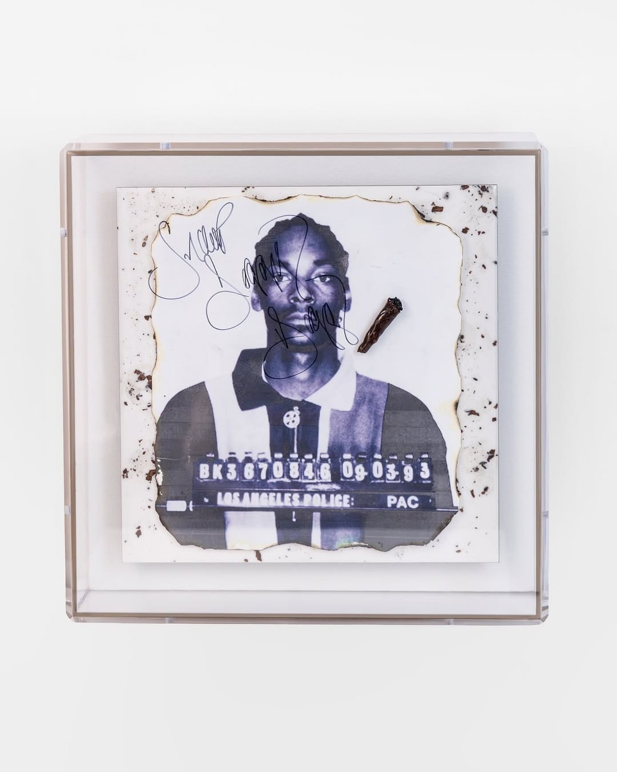 Une œuvre d’art réalisée à partir de restes de joints de cannabis de Snoop Dogg