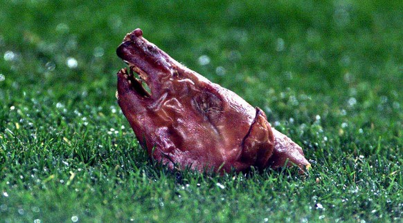 Oink oink! Als Luis Figo einen Corner treten will, fliegen zahlreiche Gegenstände auf den Rasen – darunter dieser Schweinekopf.