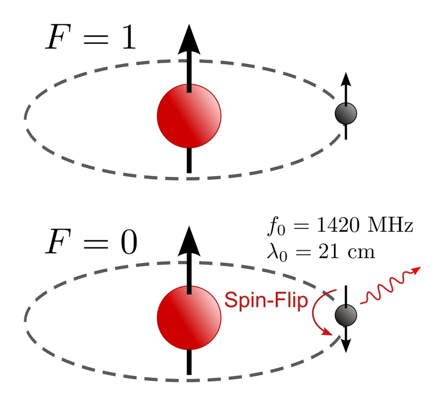 Wasserstoffatom mit paralleler (F = 1) und anti­paralleler (F = 0) Einstellung des Elektrons. Der Übergang wird als Spin-Flip bezeichnet.
https://de.wikipedia.org/wiki/HI-Linie#/media/Datei:Hydrogen-S ...