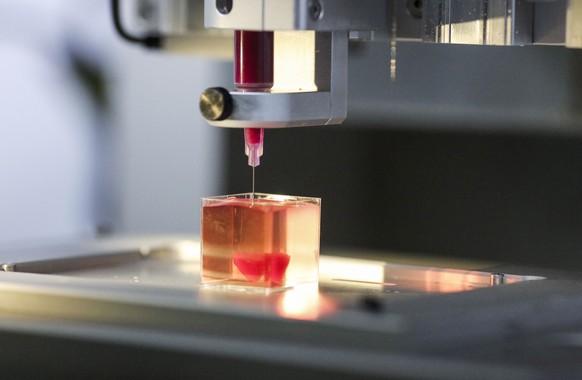 epa07508230 A 3D printer prints a heart with human tissue, at the University of Tel Aviv, 15 April 2019, Report state that Israeli scientists from Tel Aviv University say 3D printing of the heart, it& ...