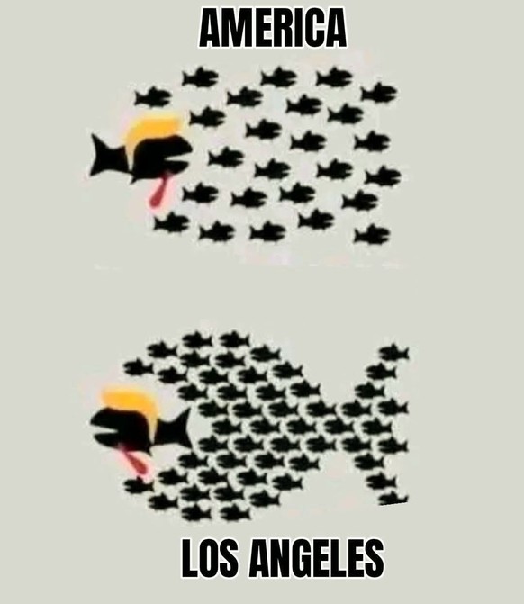 USA-Meme