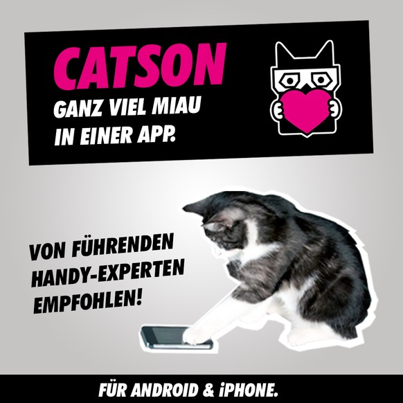 <strong><a href="https://itunes.apple.com/app/id1068116574?mt=8" target="_blank">Catson fürs iPhone &gt;&gt;</a></strong><strong><a href="https://play.google.com/store/apps/details?id=ch.fixxpunkt.catson" target="_blank"><br>Catson für Android &gt;&gt;</a></strong>