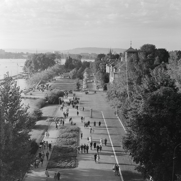 Blick aus einer Gondel auf den rechtsufrigen Teil der G59 in der Nähe de Zürichhorns.