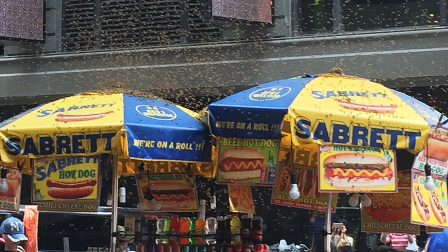 This photo provided by Elizabeth Yannone shows a section of a street in Times Square, cordoned off after being swarmed by bees in New York on Tuesday, Aug. 28, 2018. A swarm of bees caused a brief com ...