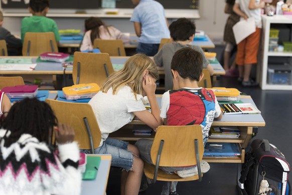 IM HINBLICK AUF DEN SCHULJAHRESBEGINN STELLEN WIR IHNEN FOLGENDES NEUES BILDMATERIAL VON DER PRIMARSCHULE DER SCHULE SUHR ZUR VERFUEGUNG --- Primary school class 1c pictured during a double science an ...